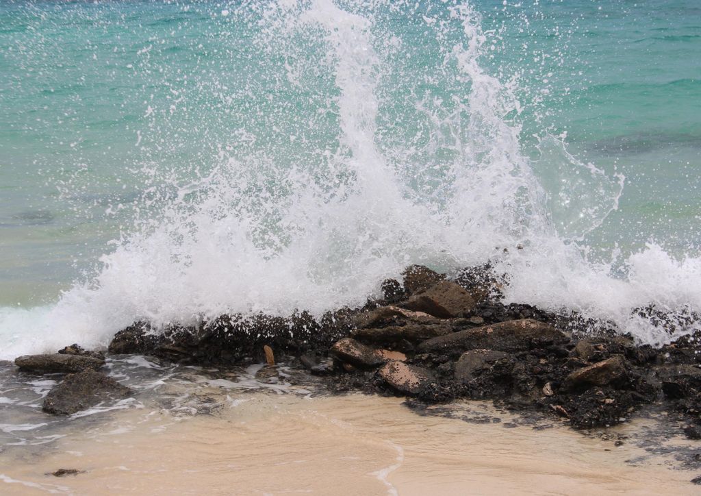 hansepuzzle 98475 - Wellen Puzzle, 260 Teile, Natur, 41,0 x 28,0cm mit hochwertiger Aufbewahrung, Kartonbox und wiederverschließbarem Beutel