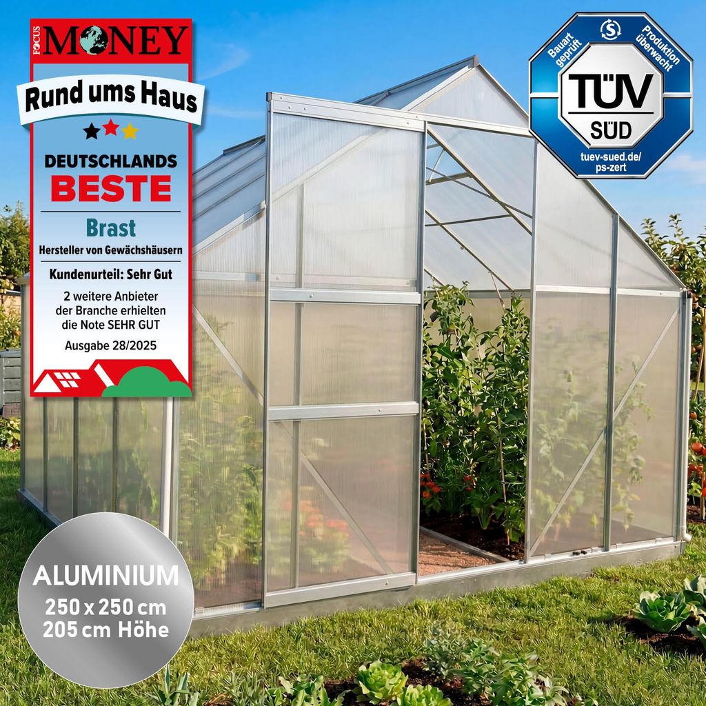 BRAST Gewächshaus Aluminium mit Fundament | 250x250x205cm | Produktbild 