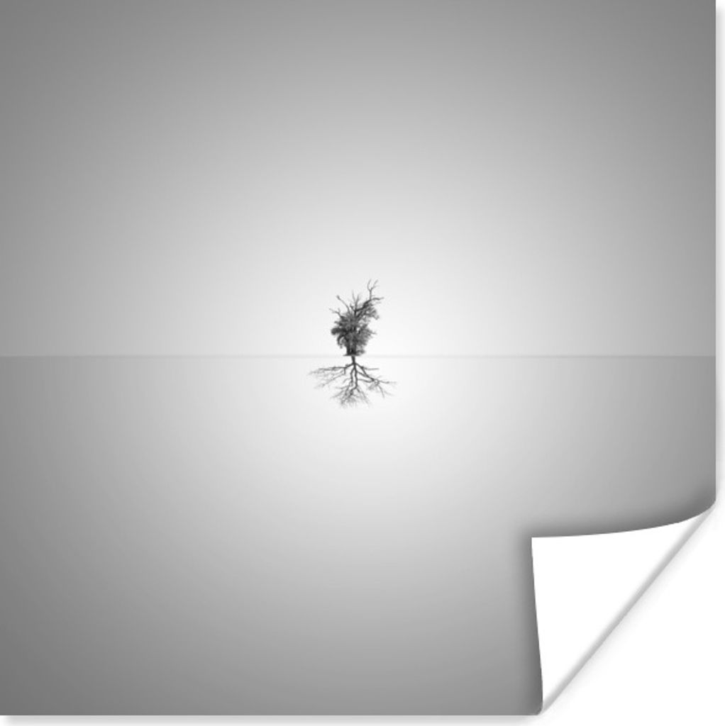 MuchoWow Poster Minimalismus Baum mit Reflexion 30x30 cm - Wandposter - Printing