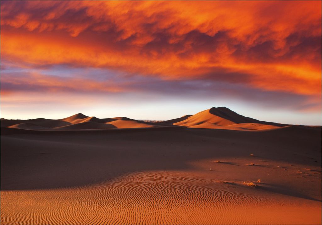 Wallario selbstklebendes Poster - Sahara Wüste II - Sanddünen im Sonnenuntergang, Größe: 70 x 100 cm
