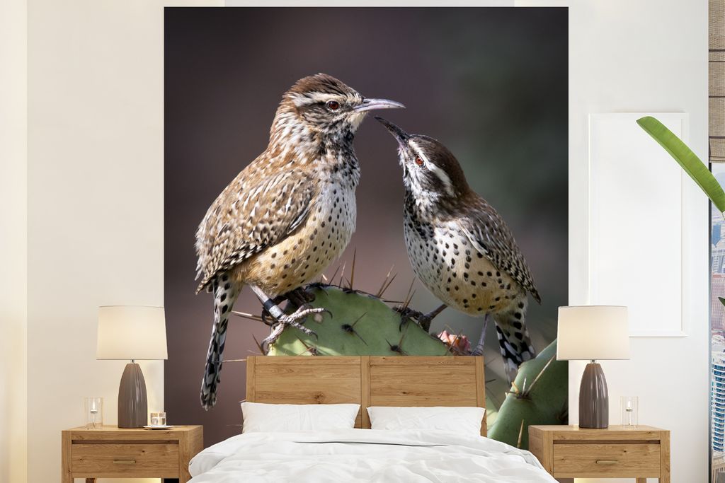 MuchoWow Fototapete für Wohnzimmer oder Schlafzimmer Wandtapete Vinyl Motivtapete Winterzaunkönig mit seinem Jungen auf einem Kaktus - 195x240 ...