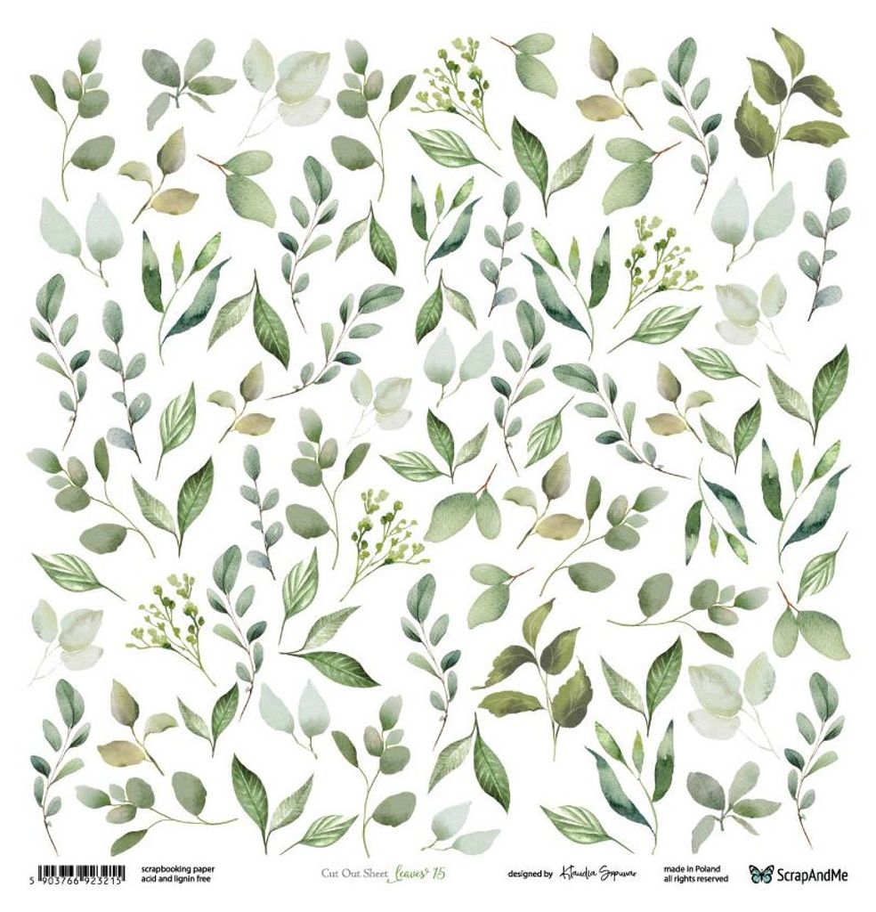 Papier scrapbooking 30x30 - ScrapAndMe - Feuilles 15 - Image du produit 