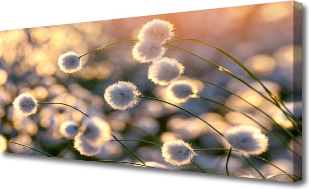 Tulup Leinwand-Bilder 125x50 Wandbild Canvas Kunstdruck Produktbild 
