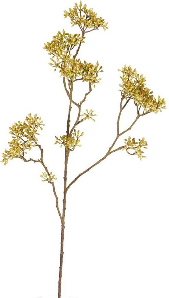 artplants.de Deko Zweig Hartriegel Karolina, grün, 70cm