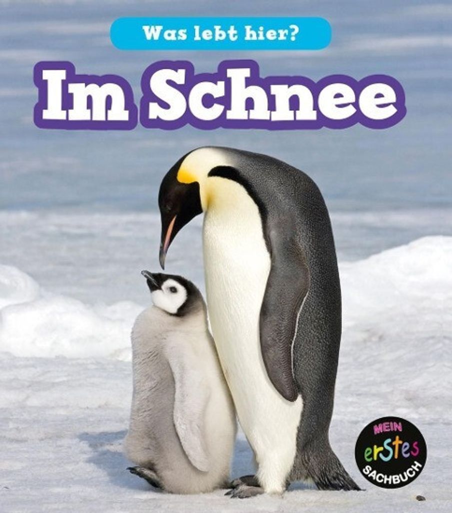 Im Schnee