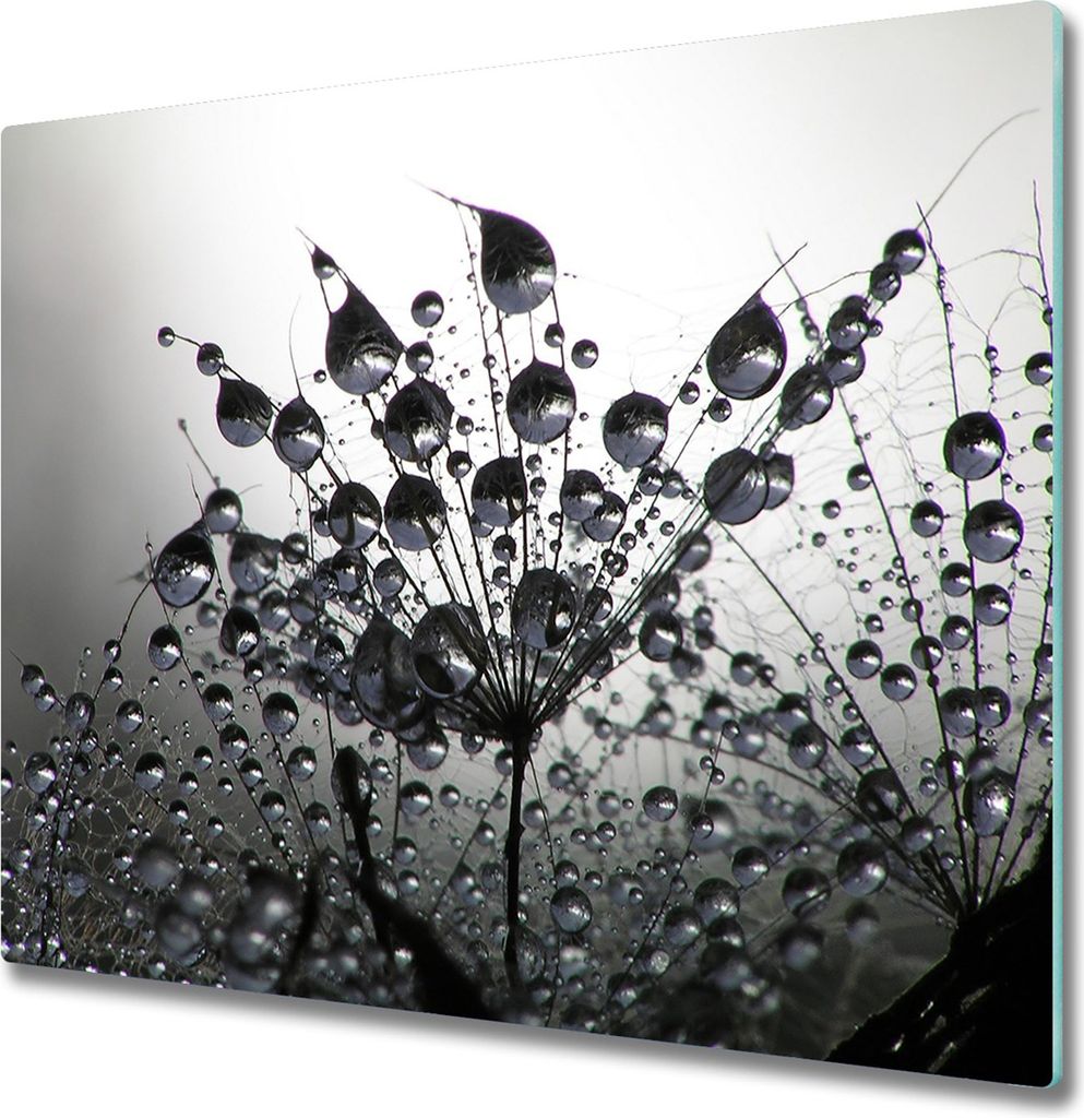 Glas Herdabdeckplatte 60x52 cm Spritzschutz Glasabdeckplatte Schneidebrett Löwenzahnsamen