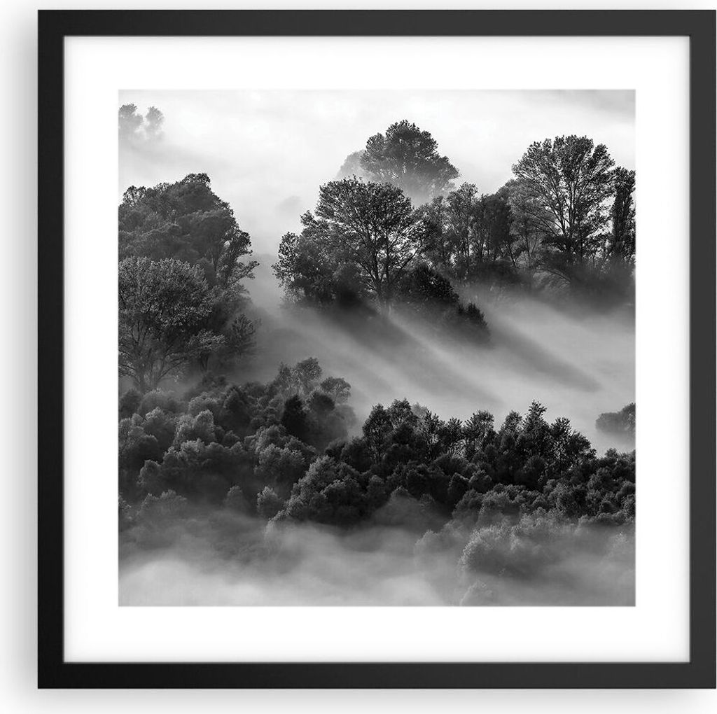 Gerahmtes Poster - Schwarzer Rahmen - Schwarzweiß Bäume Nebel - 40x40 cm - Wand Bild - Wanddeko - Wandbilder - Kunstposter - Wandposter - Bilderr...