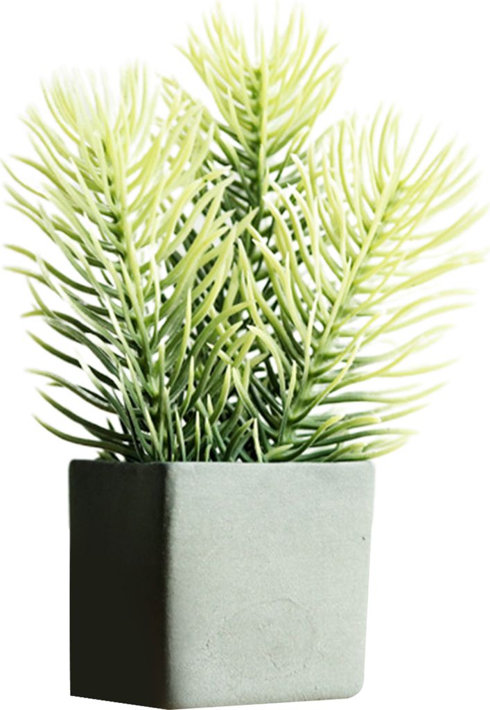 Dollhouse Green Plant Simulierte tragbare Keramik -Puppenhaus -Miniatur -Kiefernzweige für 1/6 Puppenhaus-Schwarz