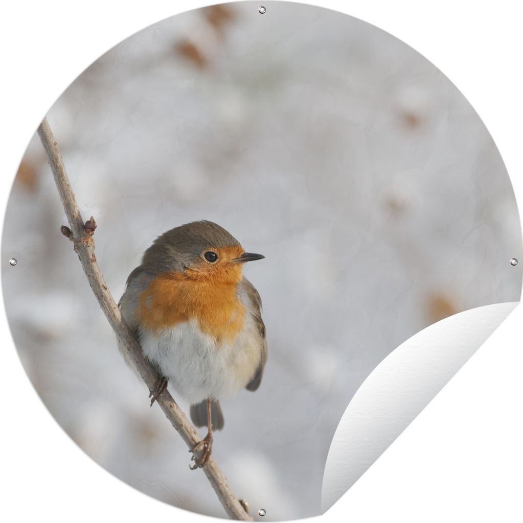 MuchoWow Gartenposter Outdoor-Poster Rund Vogel - Rotkehlchen - Winter Ø 150 cm Gartendeko Rundes Poster draußen