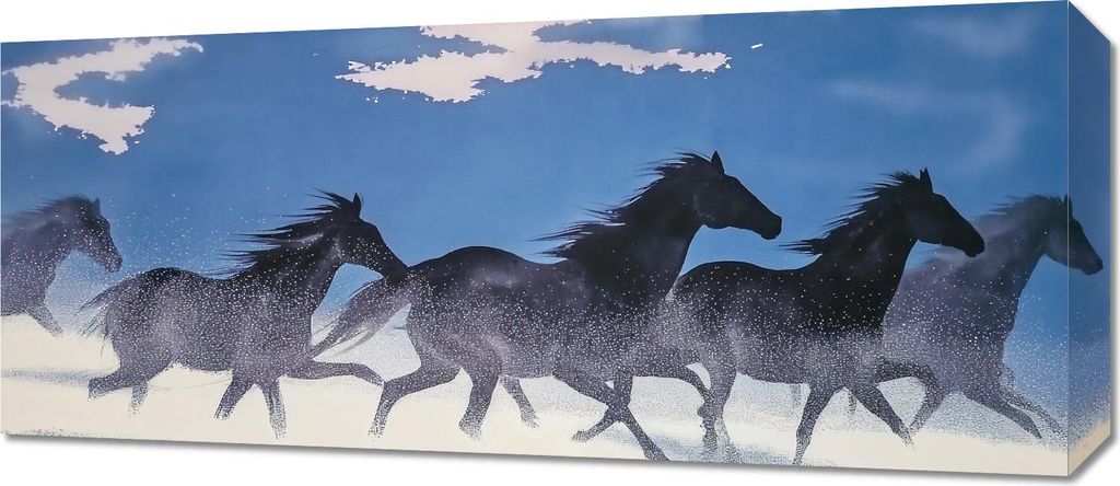 Bild 70x30cm Freiheit und Freiheit