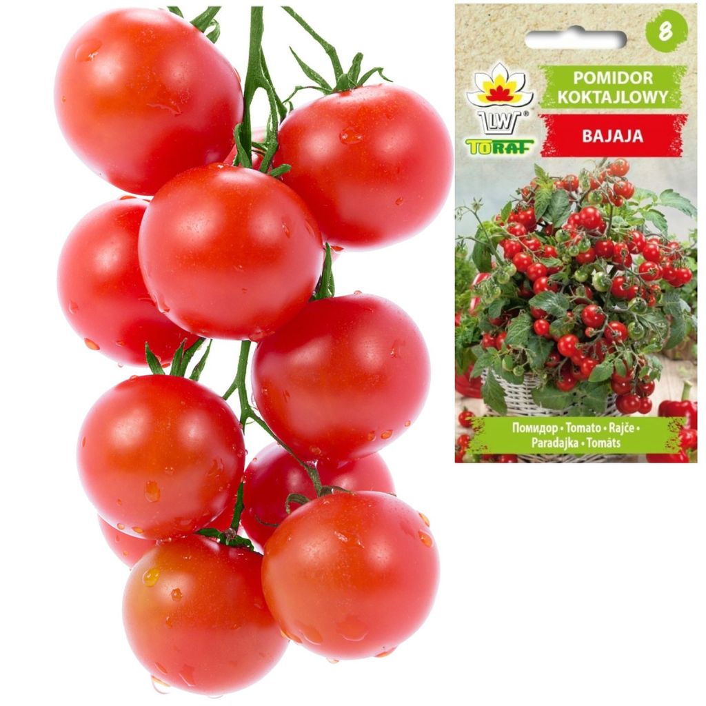 Toraf Gemüsesamen Bajaja Kirschtomate, Packung 0,3g Produktbild 9