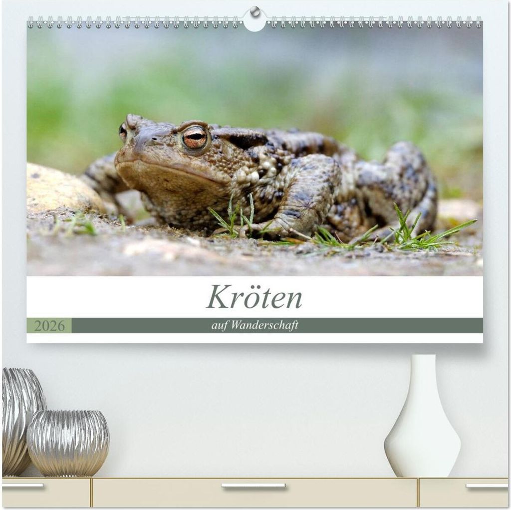 Kröten auf Wanderschaft (hochwertiger Premium Wandkalender 2026 DIN A2 quer), Kunstdruck in Hochglanz