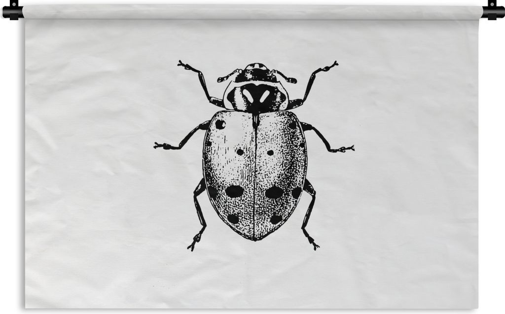 MuchoWow Wandteppich Wandbehang Vintage - Marienkäfer - Insekten - Schwarz und weiß 90x60 cm Tapisserie Dekoration Wandtuch - Wandskulpturen - ...