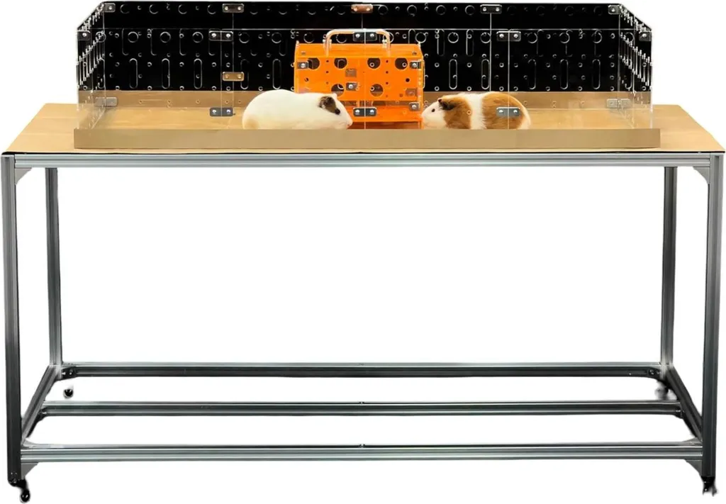 Habitat GuineaLoft Acrilico 122x61 cm - Massima Igiene e Connessione