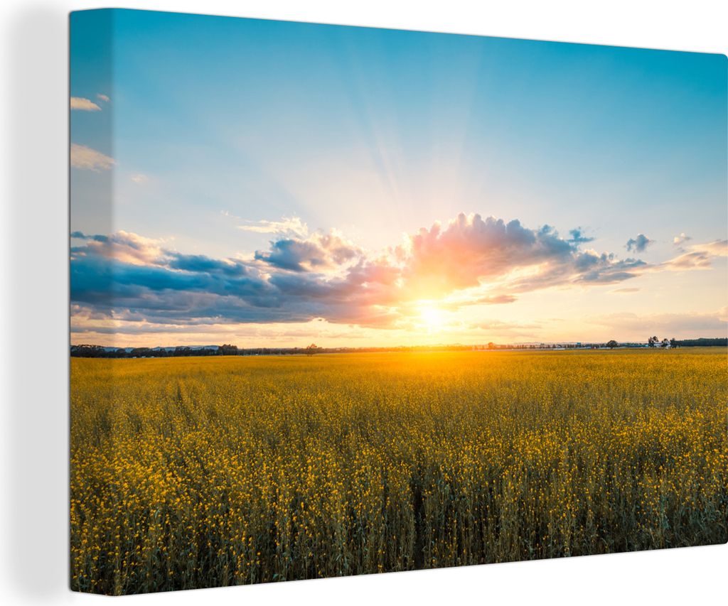 OneMillionCanvasses - Leinwandbilder - 140x90 cm, Rapsfeld bei Sonnenuntergang, Wandbilder Kunstdruck Wanddekoration