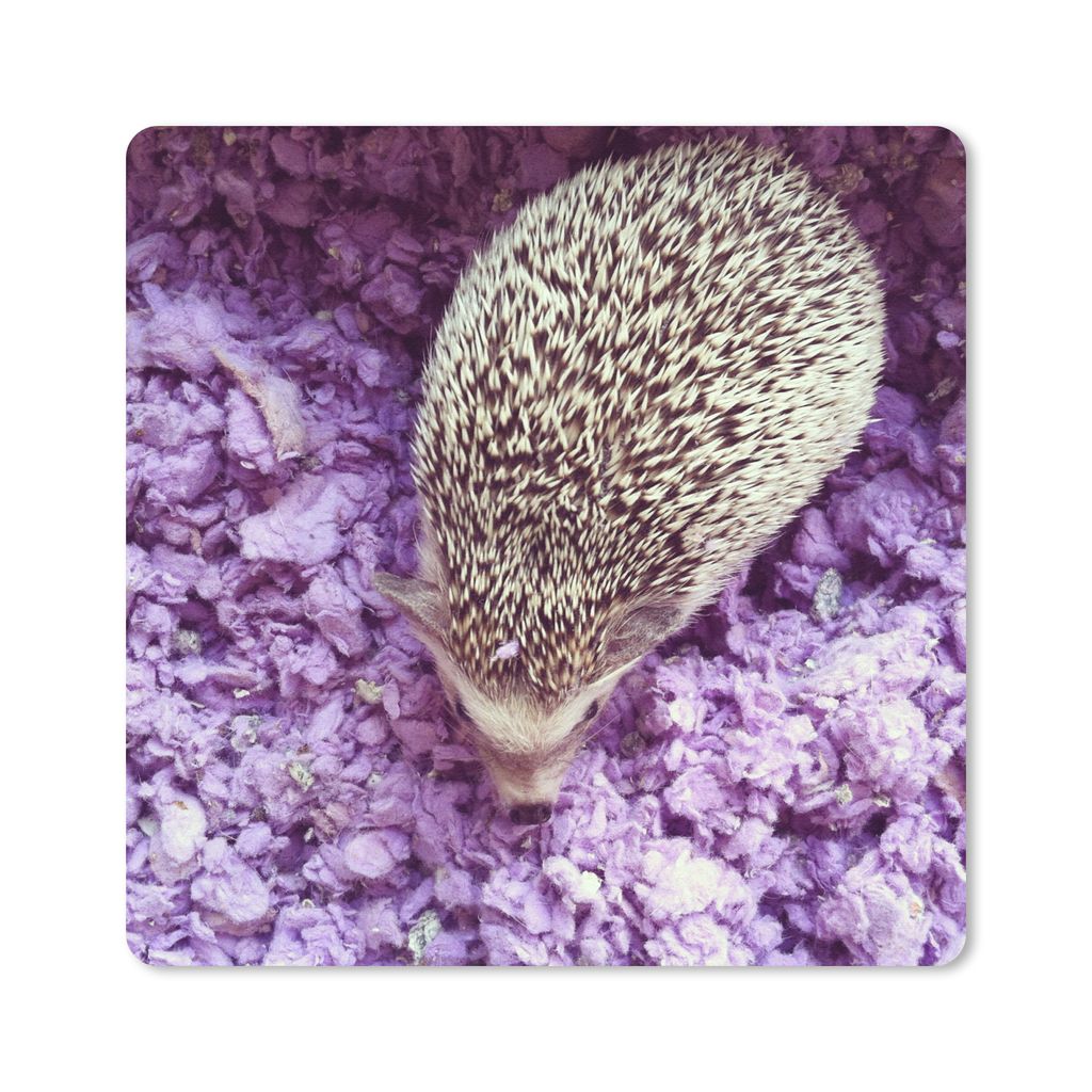 MuchoWow Mauspad Mousepad Igel auf lila Baumwolle 30x30 cm - Mousepads - Maus Mat - Pad - Mausunterlage - Gaming