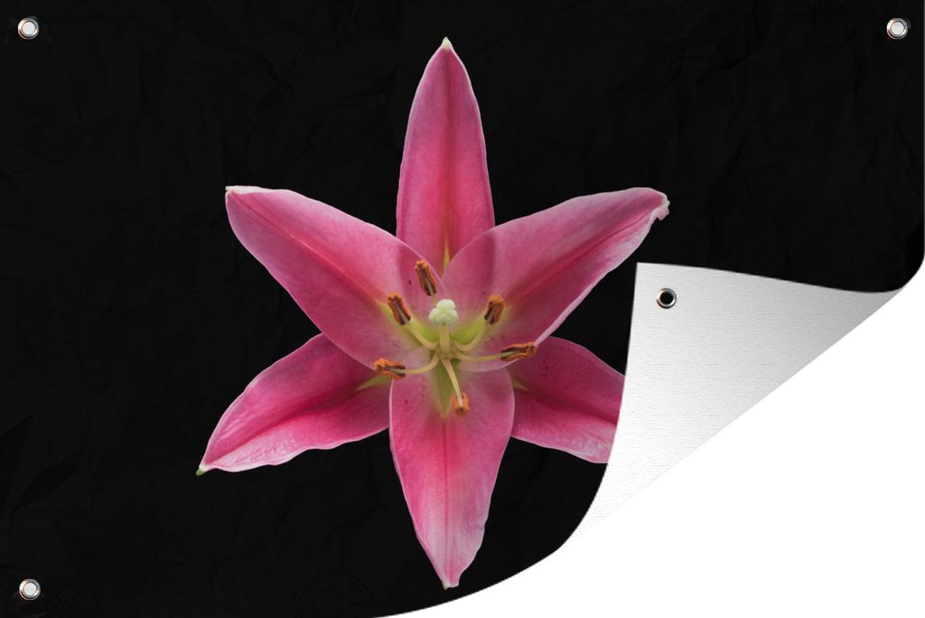 MuchoWow 90x60 cm Outdoor-Poster Gartendeko Sichtschutz Garten Poster für den Garten Blumen - Lilie - Rosa