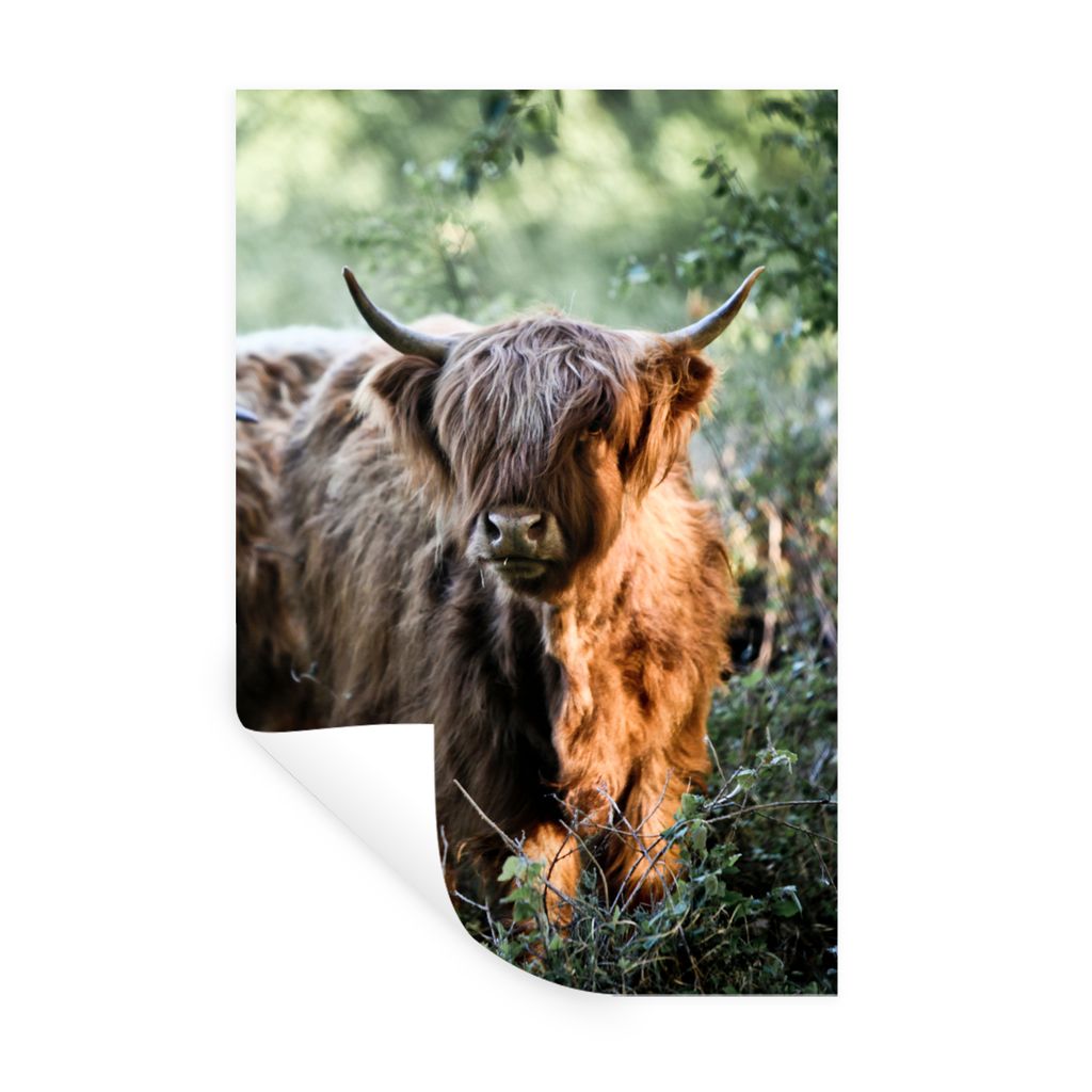 MuchoWow Wandtattoo Wandsticker Wandaufkleber Schottische Highlander - Wald - Tiere 20x30 cm Selbstklebend und Repositionierbar - Sticker - Dekor...