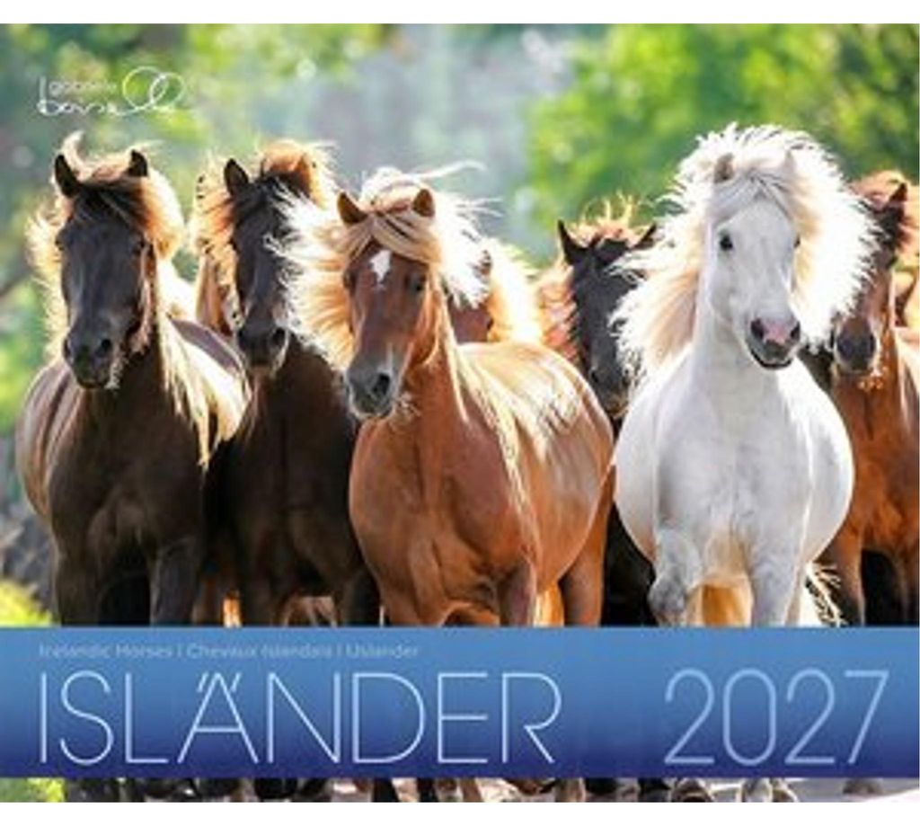 Islandais 2027 Image du produit 