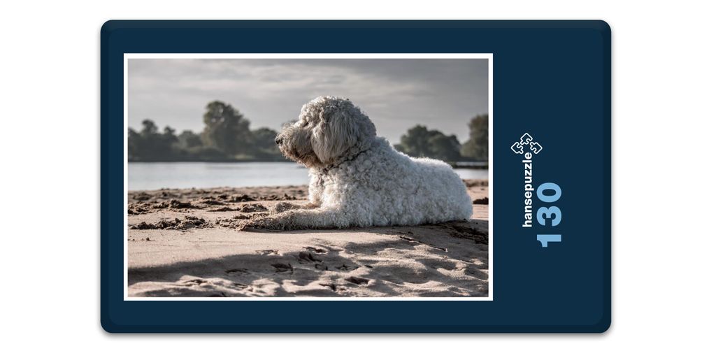 hansepuzzle 18066 - Hund am Strand Puzzle, 130 Teile, Tierwelt, 28,7 x 20,0cm mit hochwertiger Aufbewahrung, Kartonbox & Beutel