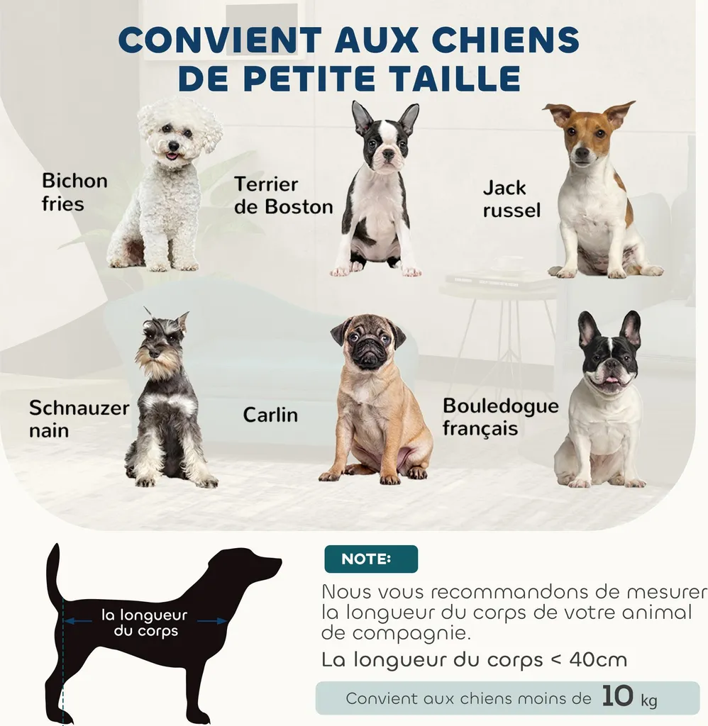 Canapé Chien Confortable Vert avec Coffre et Coussin Lavable 76 cm - 8