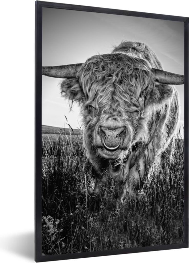 MuchoWow Gerahmtes Poster Schottischer Highlander - Schwarz und Weiß 40x60 cm - Poster mit Schwarzem Bilderrahmen Wandposter Rahmen Foto Bilder ...
