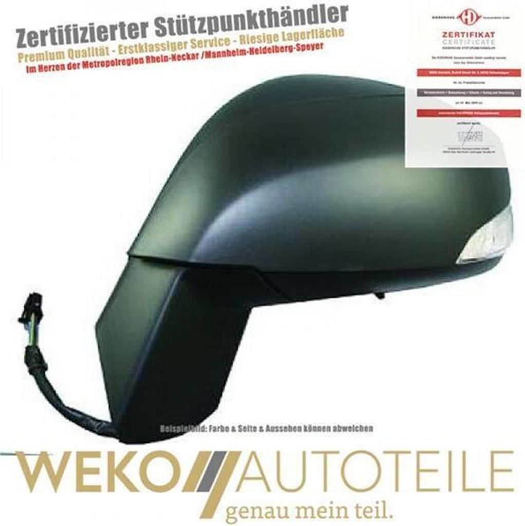 Diederichs Spiegel li. Scenic & Grand Scenic, 09->>