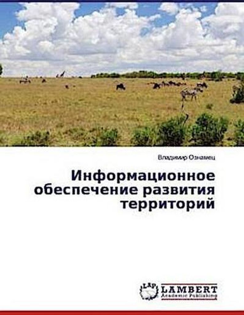Informacionnoe obespechenie razwitiq territorij