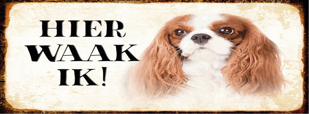 vianmo Blechschild 10x27 cm holländisch Hier Waak ik King Charles Spaniel