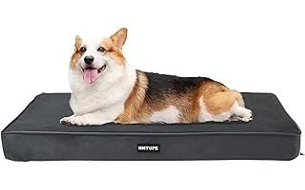 Lettino Ortopedico Cani 91cm Grigio - Comfort Memory Foam 9cm