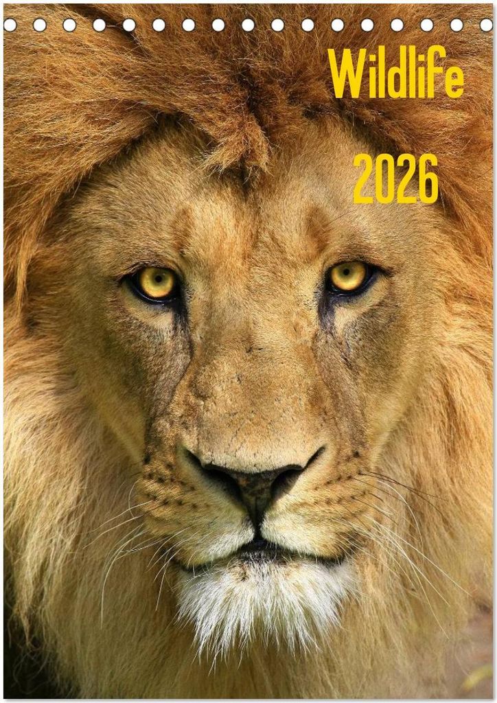 Wildlife 2026 (Tischkalender 2026 DIN A5 hoch), CALVENDO Monatskalender