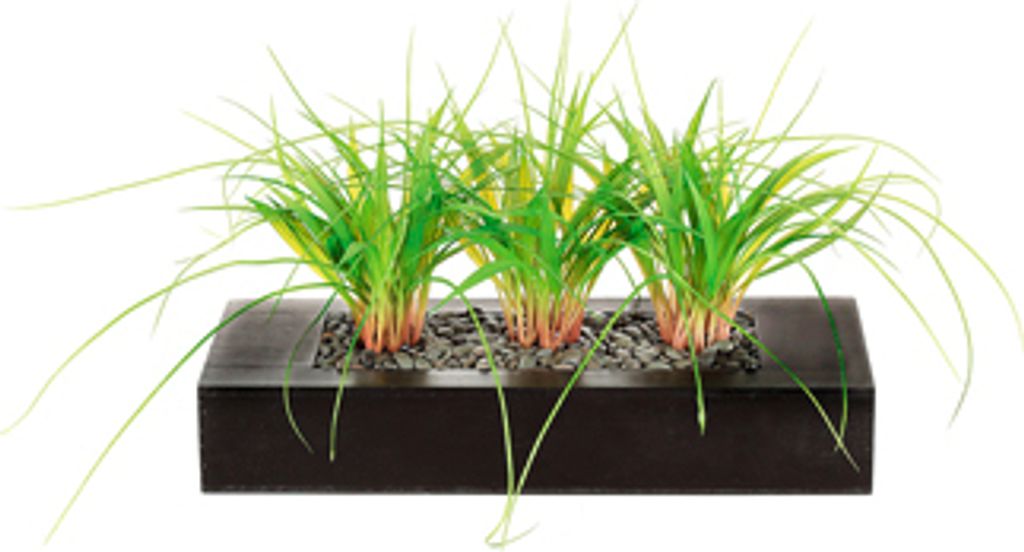 1x Dekogras 3 x im Holzkasten Deko, Blume Produktbild 