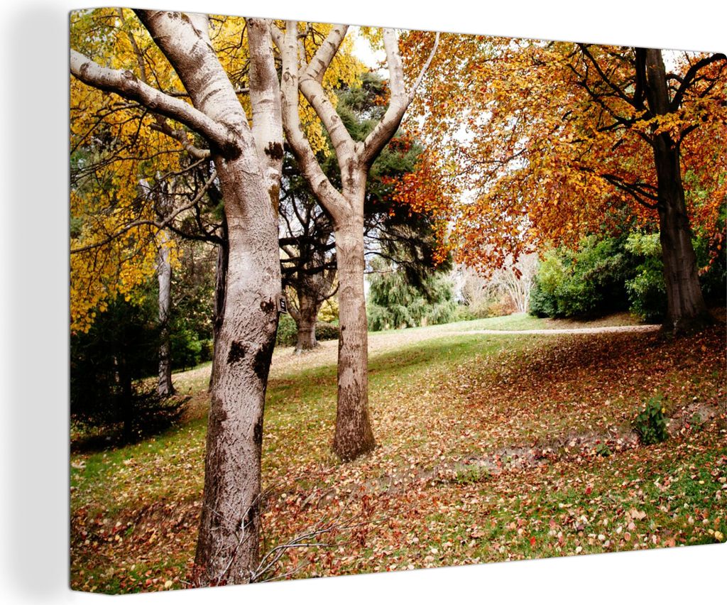 OneMillionCanvasses - Leinwandbilder - 140x90 cm, Herbst - Bäume - Laub - Natur, Wandbilder Kunstdruck Wanddekoration - Foto auf Leinwand - Gem...