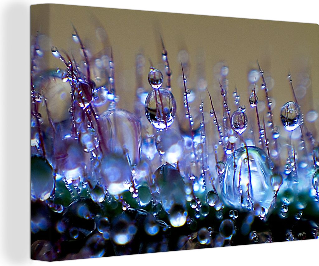 OneMillionCanvasses - Leinwandbilder - 150x100 cm, Eine Nahaufnahme des frühen Taus, Wandbilder Kunstdruck Wanddekoration