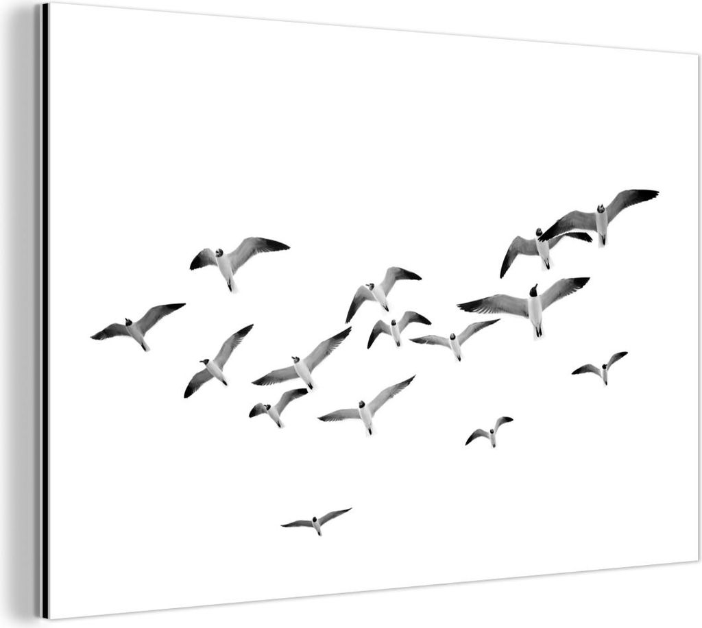 MuchoWow Wanddekoration Metall Metallbild Wandkunst 120x80 cm Vögel - Schwarz und weiß - Natur - Himmel MuchoWow Aluminium Gemälde - Alu Bild
