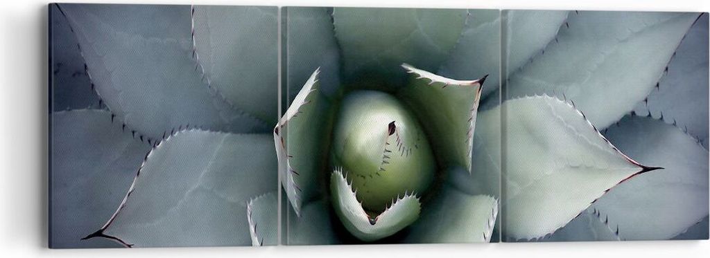 Bild auf Leinwand - Leinwandbild - 3 Teile - Blau Blätter Agave - 90x30cm - Wand Bild - Wanddeko - Wandbilder - Leinwanddruck - Bilder - Wanddekor...