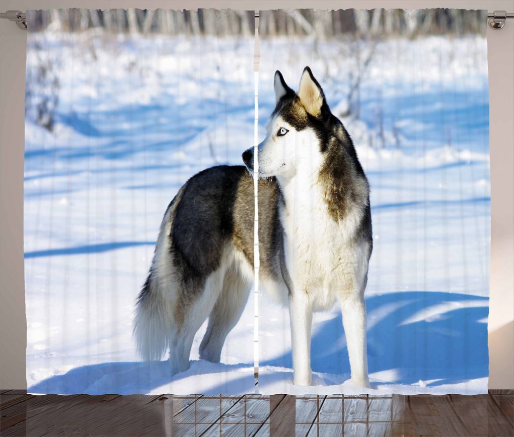 ABAKUHAUS Alaskan Malamute Rustikaler Gardine, Schlittenhund auf Schnee, Schlafzimmer Kräuselband Vorhang mit Schlaufen und Haken, 280 x 225 cm, H...