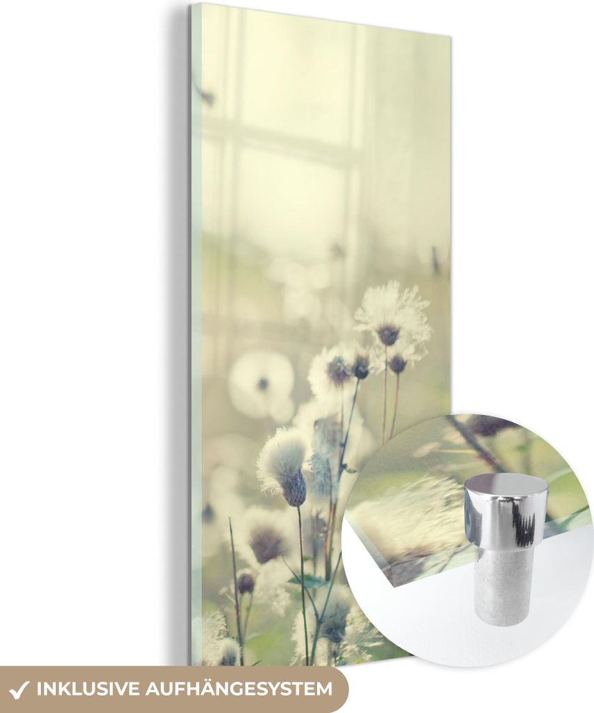 MuchoWow Glasbilder - Bilder auf Wandbild - Foto auf Glas Blumen - Feld - Weiß 60x120 cm Wanddekoration aus Glas - Acrylglasbild - Acrylbilder - S...