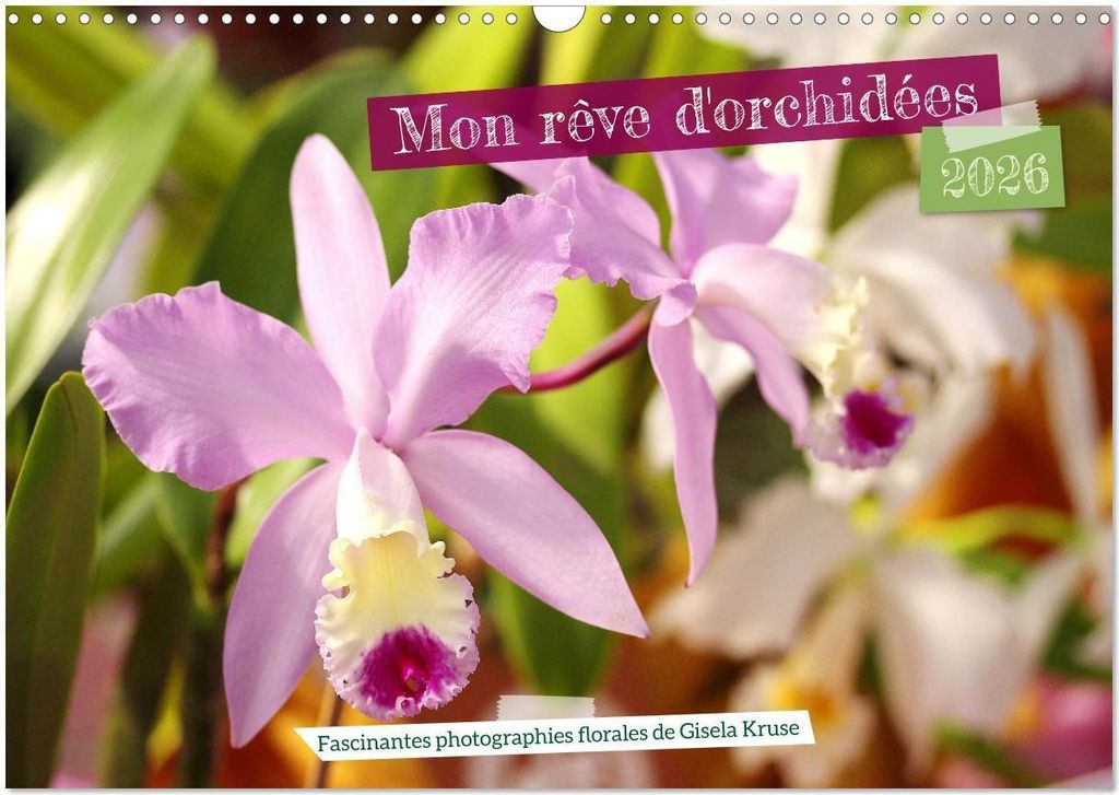 Mon rêve d'orchidées (Calendrier mural 2026 DIN A3 vertical), CALVENDO calendrier mensuel