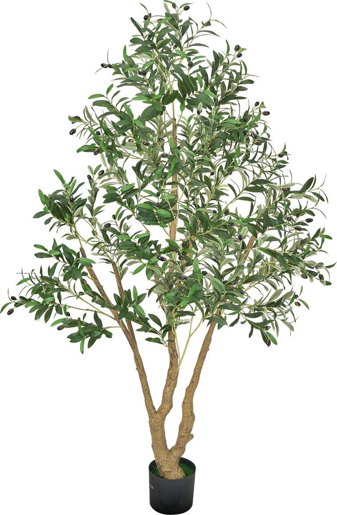 SucceBuy Albero di ulivo artificiale, 1,8 m, con vaso nero, Immagine del prodotto 