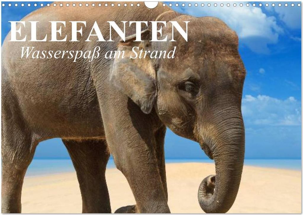 Elefanten - Wasserspaß am Strand (Wandkalender 2026 DIN A3 quer), CALVENDO Monatskalender