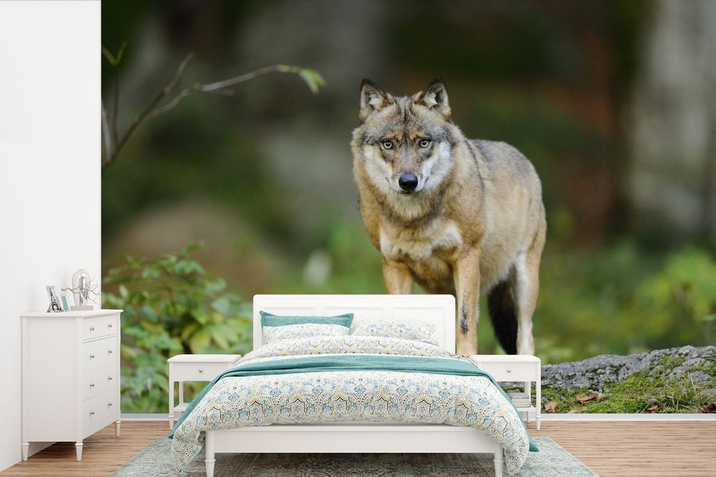 MuchoWow Fototapete für Wohnzimmer oder Schlafzimmer Wandtapete Vinyl Motivtapete Wolf - Tiere - Wald - 450x300 cm - Gemusterte