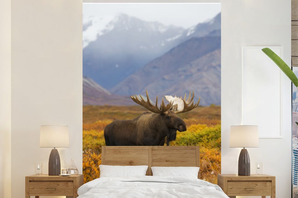MuchoWow Fototapete für Wohnzimmer oder Schlafzimmer Wandtapete Vinyl Motivtapete Elch in einer Heide - 225x350 cm - Schlafzimmer tapete