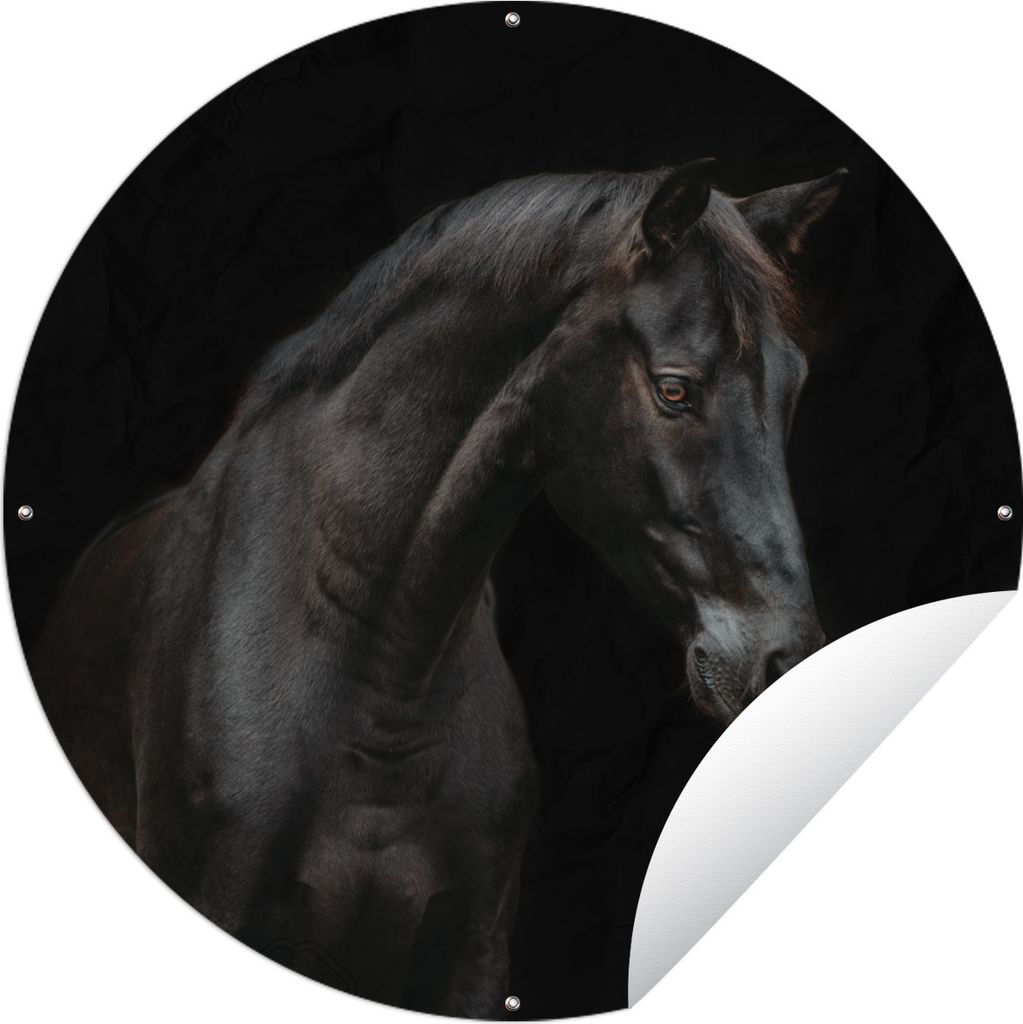 MuchoWow Gartenposter Outdoor-Poster Rund Pferd - Tier - Schwarz Ø 120 cm Gartendeko Rundes Poster draußen