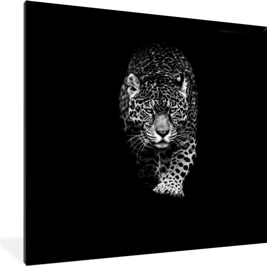 MuchoWow Gerahmtes Poster Tiere - Schwarz - Leopard - Weiß - Wild 40x40 cm - Poster mit Schwarzem Bilderrahmen Wandposter Rahmen Foto Bilder - M...