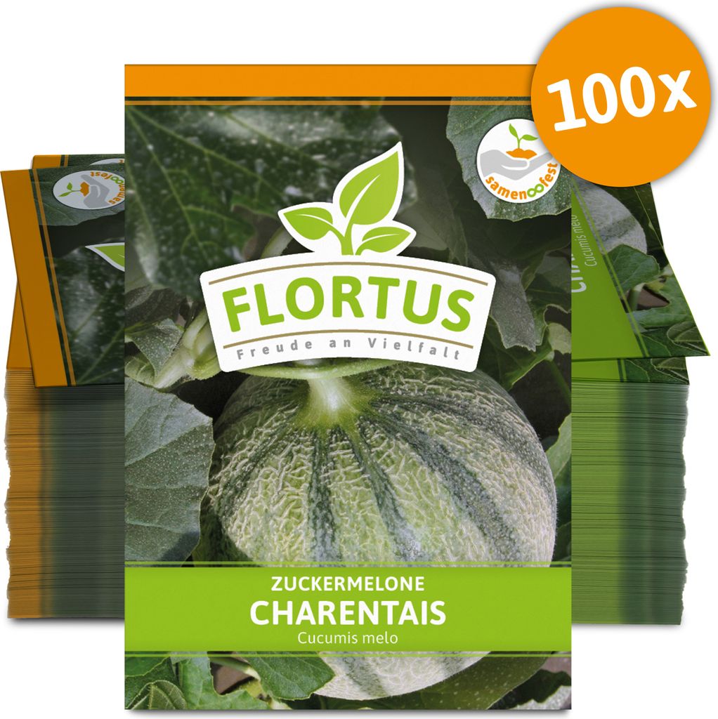Zuckermelone Charentaise (100 Tütchen) | Zuckermelonensamen von FLORTUS