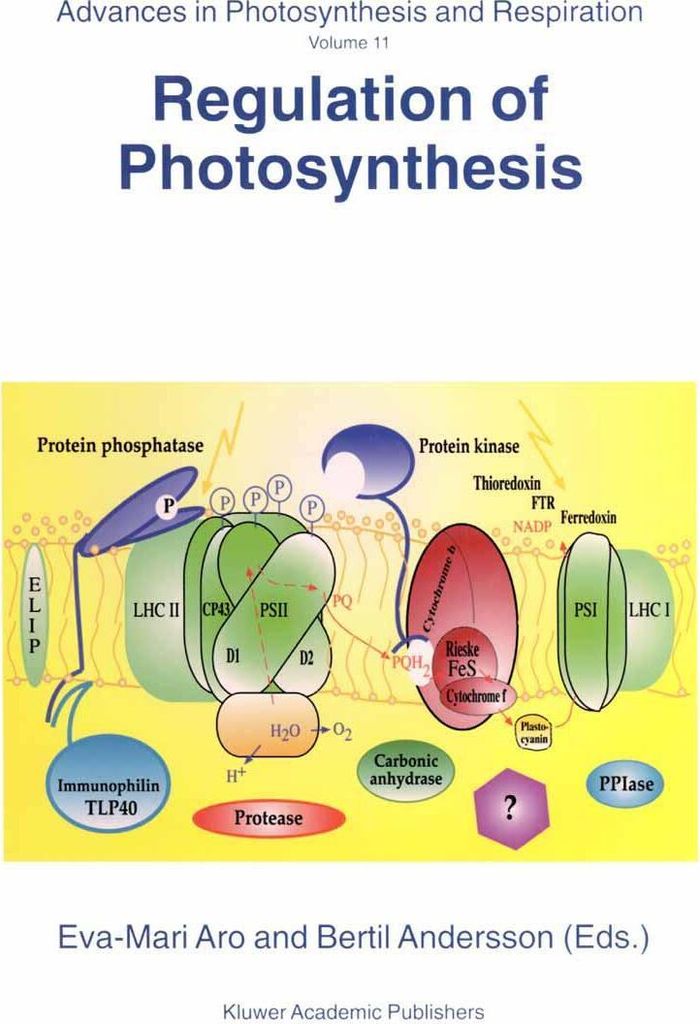 Regulation of Photosynthesis