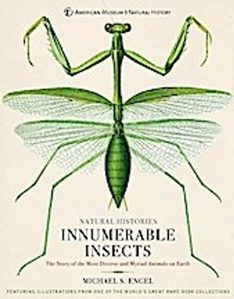 Innumerable Insects : Guide d'observation pour passionnés d'entomologie