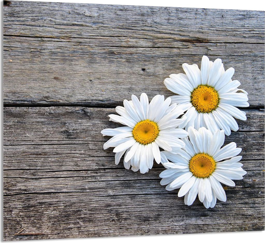 GLASPLATTE FÜR KÜCHE 65x60 Daisy
