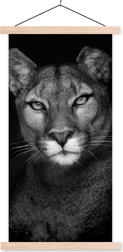 MuchoWow Textilposter Porträtfoto eines Pumas auf schwarzem Hintergrund 40x80 cm mit holzfarbenen Rahmen - Wohnzimmer